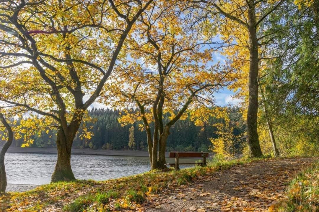 Lac Abane Au Lac Bütgenbach Exterior foto